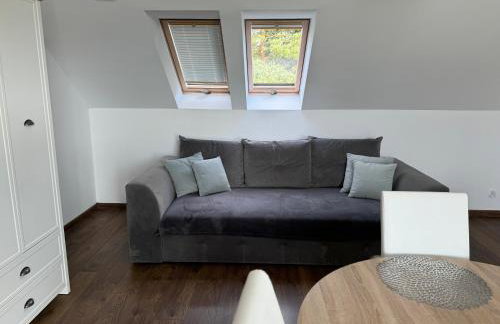 Villa Sadula - Apartamenty na Mazurach - Foto 49