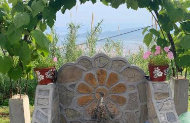 Η θεα traditional house - Foto 5