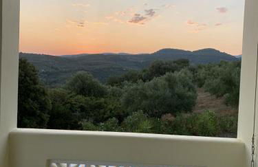 Kyparissia De Wandelboom - Foto 31