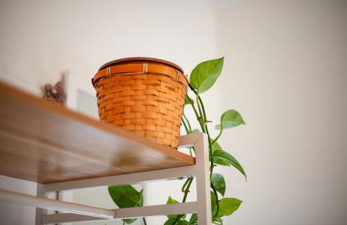 Stella d'Argento - Photo 54