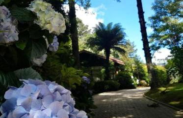 Casa Goldoni Gramado - Photo 41