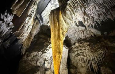 Casa Petar Betari - Foto 59