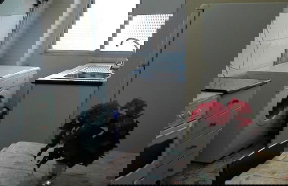 Apartamentos Guardamar del Segura - Foto 35