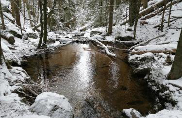 Blackforest Perla - Foto 22