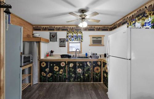 Riverfront Cabin Wood Stove Fire Pit & Grill - Foto 10