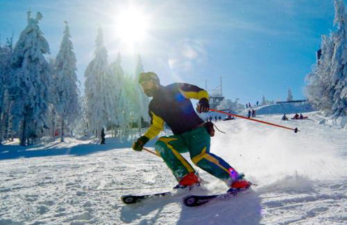 ferienwohnungen.ruhla - Foto 37