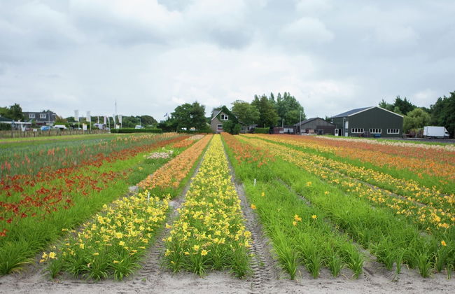 Apartment in Noordwijk Near Beach - Foto 39