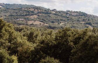 Agriturismo Podere Santo Stefano - Photo 19