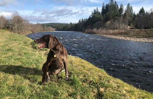 Tanar View - Photo 23