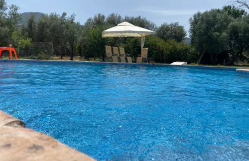 Johnny Jo Villa - Photo 50