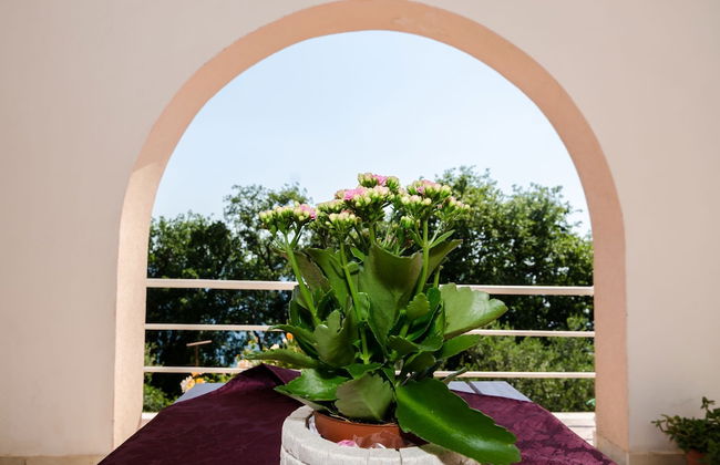 Villa Barbara - Photo 29