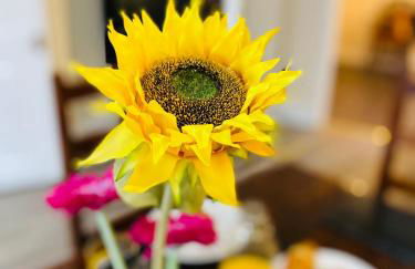 The Old Rope House - Foto 6