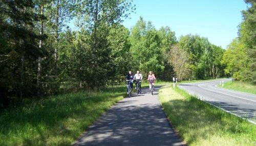 Ferienhaus Elfriede - Foto 5