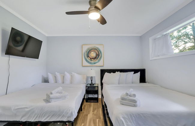 Decatur Rocksteady Message for Summer Special - Photo 25