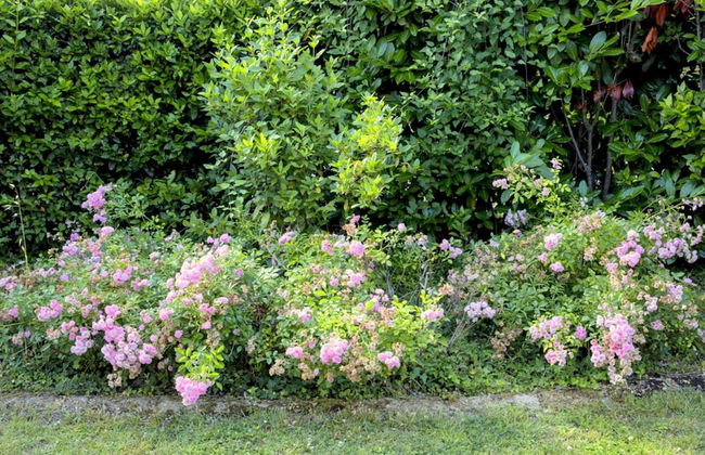 Belvilla by OYO Montebello Mono C - Foto 27