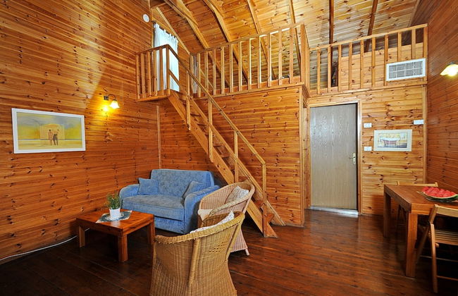 Nofim Belavan - Photo 17