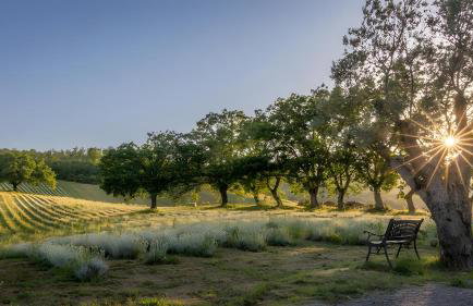 Il Poggio di Teo - Foto 113
