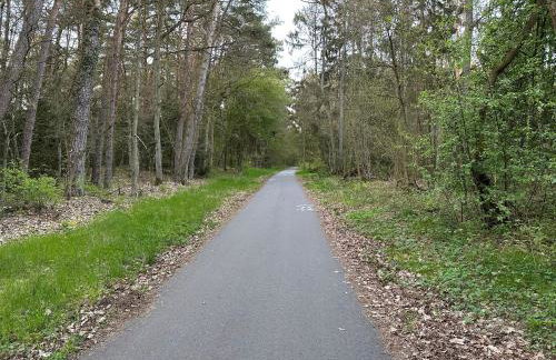 Morski Las - Foto 52