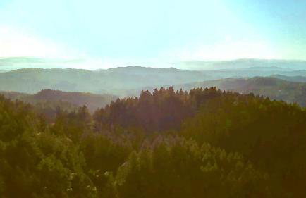 St Helena - Blair Spangler Design Group - Foto 68