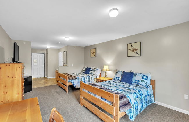 Green Goose Lodge - Studio Apt Sleeps 4 Condo - Foto 25