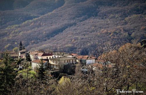 La Casa del Sarto - FedericoFarm - Foto 39