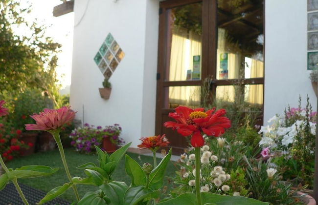 Agriturismo Sa Tanca Noa - Photo 48