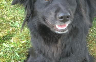 Ländliches HideAway zwischen Hamburg und Lübeck - Foto 16