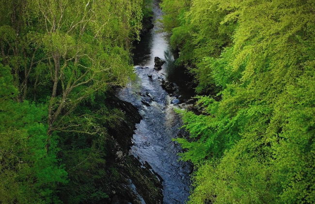 Highland & Transylvania Glamping Pod - Foto 34