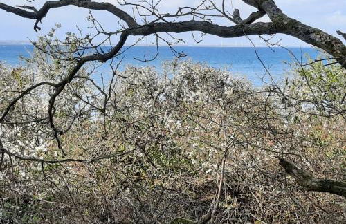 Wormshöft 16 - Foto 31