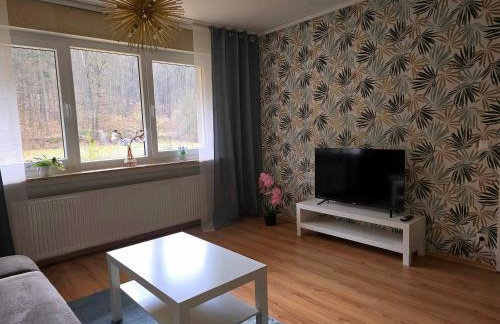 Marburg Apartment feuriger Felix mit Kamin und Garten in ruhiger Waldrandlage - Foto 5