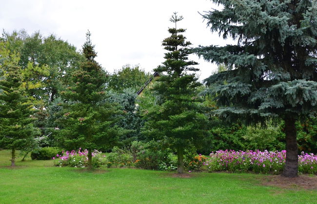 Ferienhaus in Brandenburg - Foto 21