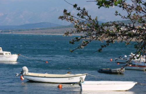 Apartman Mihaela - Photo 8