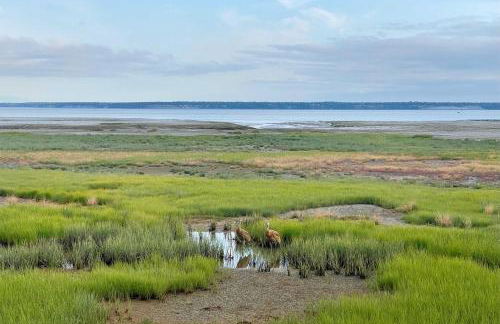 Alluring Anchorage Apt - Walk to Coastal Trl! - Foto 25