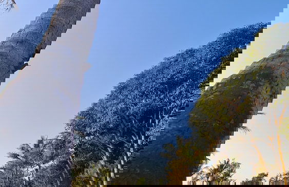 Vale do Lago Casa de Campo e Eventos - Photo 12