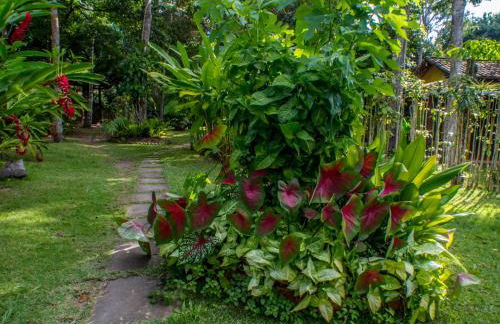 Espaço Pégasus - Foto 18