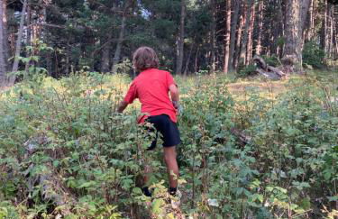 la grange T2 Centre Ville Jardin WIFI - Foto 19