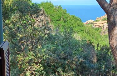 Villa La Lecceta surrounded by greenery and sea view with sunset - Foto 5