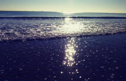 MÍ casa YOUR HOME - Photo 1