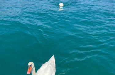 Casa della Regina - Foto 7