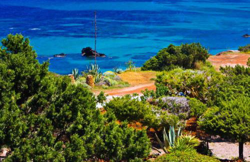 Arenal d´Or - Photo 6