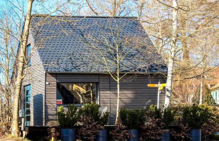 Backhaus Wald - Foto 24