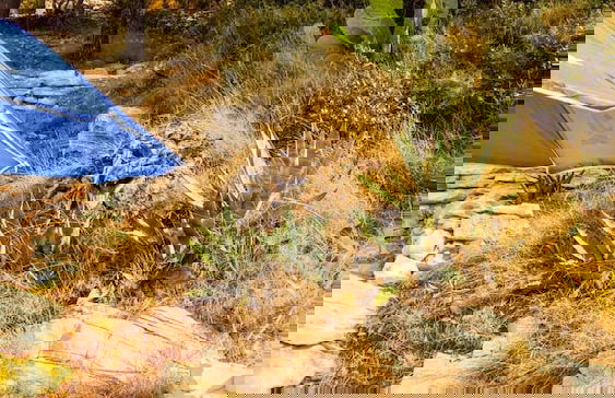 Seafront Apartment Dana - Foto 48