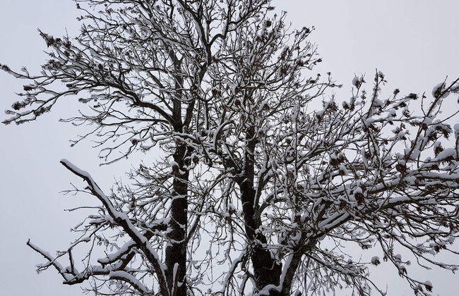 4 Star Holiday Home in Soderala-by Traum - Photo 13