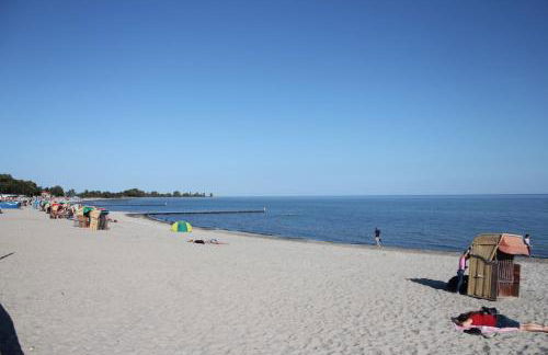 Silbermöwe im Kirschgarten - Foto 36