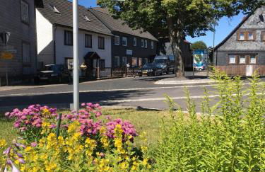 Haus Linde Frauenwald am Rennsteig - Foto 22