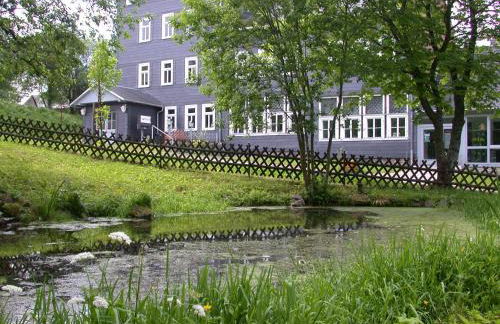 Apartments und Bistro Zum Glasmacher - Foto 72