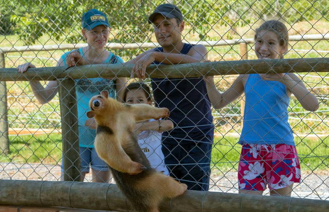 Ingresso do Bio Park com guia - Foto 6