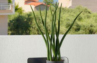 5 suites by GD - Photo 48