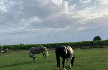 Casa Maria Saturnia - Foto 15