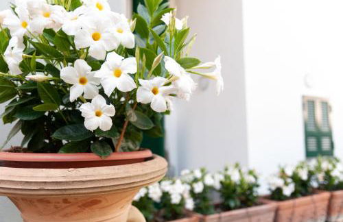 Casa Teresinella Garden - Photo 37